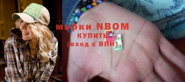ГАЛЛЮЦИНОГЕННЫЕ ГРИБЫ Белокуриха