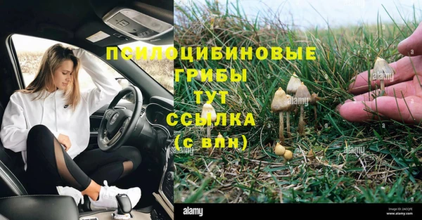 бутик Богданович
