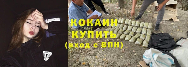 ГАЛЛЮЦИНОГЕННЫЕ ГРИБЫ Белокуриха