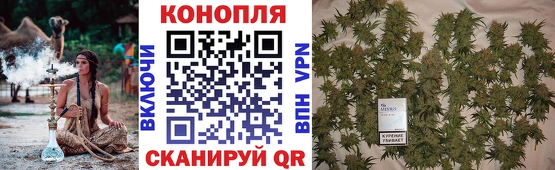 Каннабис планчик  где купить наркоту  Велиж 